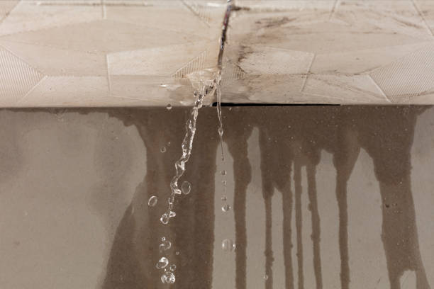 Professional Burst Pipe Cleanup technician working in Wimauma, FL